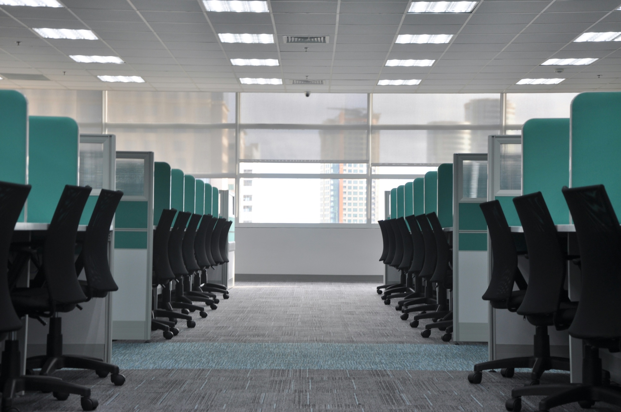 Clean open-plan office with teal partitions